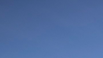 El 49% de los trabajadores agrícolas de EE.UU. son indocumentados.