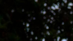 1,500 contratos de trabajo tiene abierto USPS por semana.