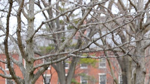 Universidad de Harvard