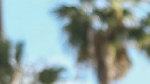 Decenas de organizaciones defienden a inmigrantes para su camino a la ciudadanía.