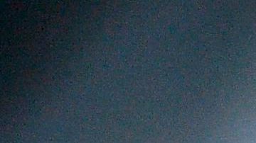 La FDA ha advertido que la ivermectina no sirve para tratar Covid-19.