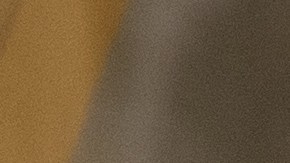 Los republicanos de Texas buscan restringir el derecho al voto en el estado.