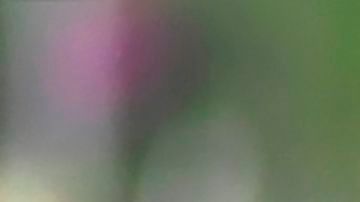 Un tribunal dictamina que la iniciativa de los trabajadores autónomos de California es inconstitucional-GettyImages-1229223235.jpeg