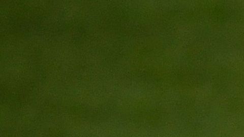 Héctor Herrera