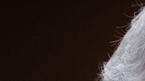 Director de la CIA sostuvo reunión secreta en Kabul Afganistán con el líder de los talibanes