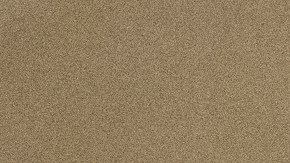 El senador Rand Paul.