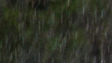 Floridians Prepare For Tropical Storm Elsa