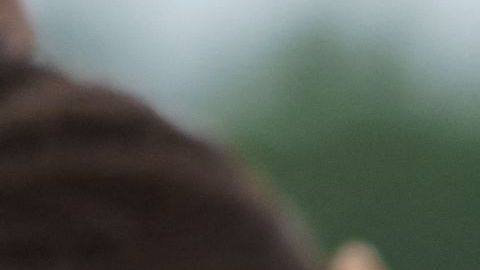 Familias migrantes se entregan a la Patrulla Fronteriza en Penitas, Texas.