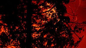Incendio en California