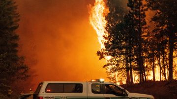 El incendio Dixie salta a través de la autopista 89 cerca de Greenville, California, el 3 de agosto de 2021.