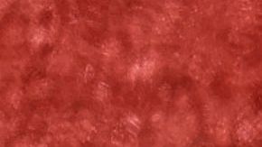 Los estadounidenses conectaron dos jonrones que le dieron la ventaja necesaria para ganar.