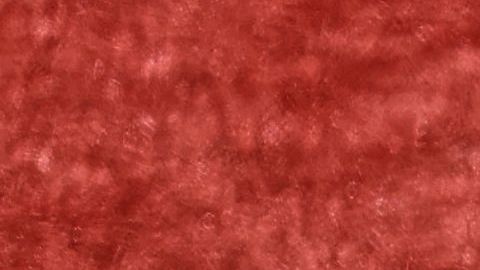 Los estadounidenses conectaron dos jonrones que le dieron la ventaja necesaria para ganar.