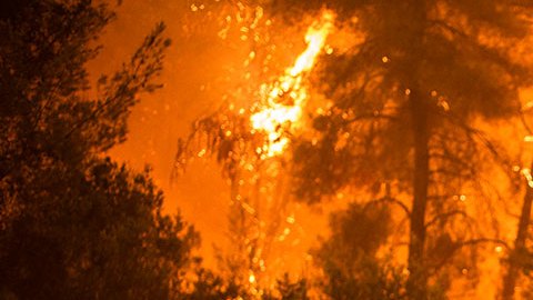 Incendios por el Cambio Climático