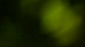 Manifestantes piden cancelación de la renta a causa de la pandemia. (Getty Images)