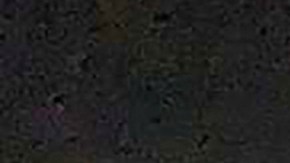 Muchos fueron escoltados seguramente al aeropuerto por los talibanes.