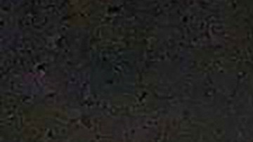 Muchos fueron escoltados seguramente al aeropuerto por los talibanes.