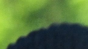 Estudiantes entran a una escuela en Miami, con mascarillas.