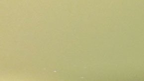 Afganos llegando a México