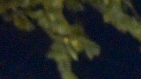 Voluntarios transportaron a los heridos a un hospital en Kabul.