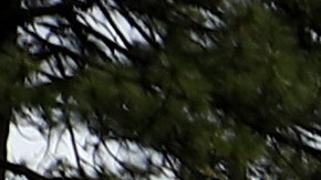 El Condado Mariposa en la Sierra Nevada incluye una parte del Parque Nacional Yosemite.