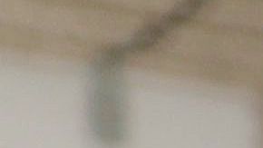 Un trabajador migrante con un número ITIN tiene derecho a recibir la ayuda económica