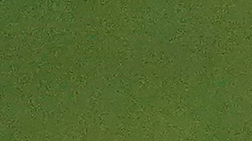 Pizarro fue nombrado para el equipo All-Star de la MLS.