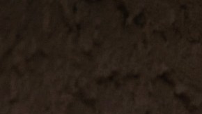 Las mujeres hispanas y afroamericanos los grupos más afectados por los desalojos en Estados Unidos-GettyImages-1279350723.jpg