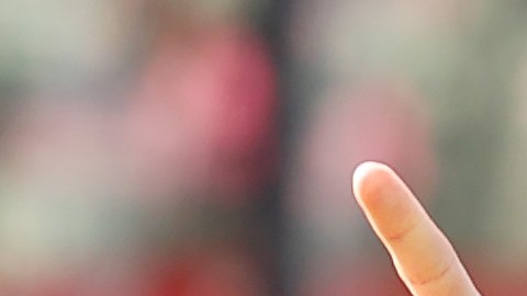 Javier Hernández