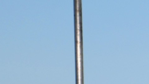 Andrea Meza se roba las miradas con tierna foto en Instagram