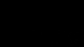 Floyd Mayweather Jr.