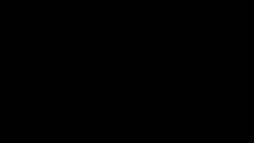 Floyd Mayweather Jr.