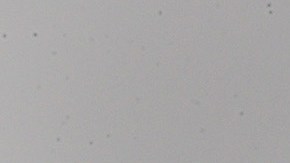 Un pasajero de Frontier Airlines fue atado con cinta adhesiva a su asiento después de haber agredido sexualmente a las auxiliares de vuelo-GettyImages-13239035731.jpg