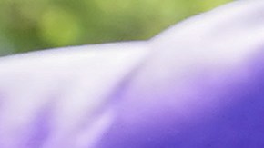 El IRS distribuirá el segundo pago del Crédito Tributario por Hijo a 40 millones de familias este viernes-GettyImages-1328719425.jpeg