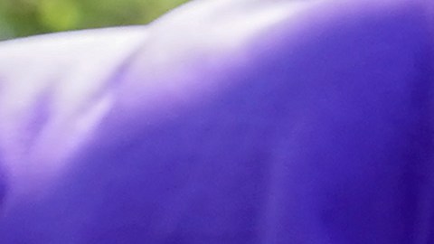 El IRS distribuirá el segundo pago del Crédito Tributario por Hijo a 40 millones de familias este viernes-GettyImages-1328719425.jpeg