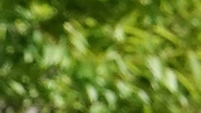 Razones por las que más familias están recibiendo el segundo pago mensual del Crédito Tributario por hijo-GettyImages-1328719426.jpeg