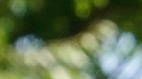 Los niños nacidos y adoptados en 2021 podrían recibir el Crédito Tributario por hijo-GettyImages-1328725402.jpeg