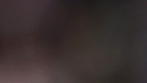El caballo opuso resistencia durante la prueba y la atleta Annika Schleu no pudo completar su participación.