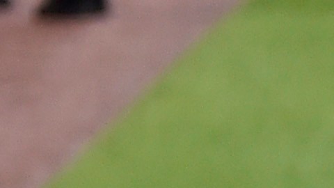 Ambos jugadores estarán de baja por más de siete días.