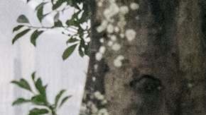 Huracán Ida toca tierra en Luisiana.