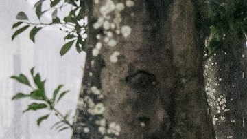 Huracán Ida toca tierra en Luisiana.