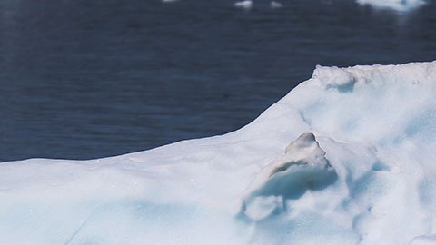 Glaciares