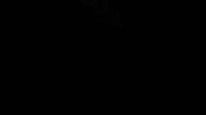 Estos son algunos de los mejores Tik Toks de Angelique Boyer y Sebastián Rulli