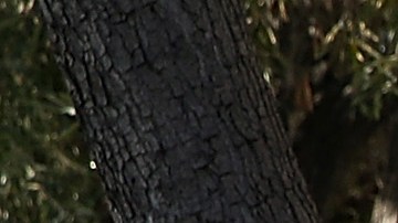 Las empresas se comprometieron invertir $50,000 millones de dólares tras el asesinato de George Floyd