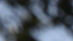 La zona cercana a Falfurrias en Texas es remota y desolada.