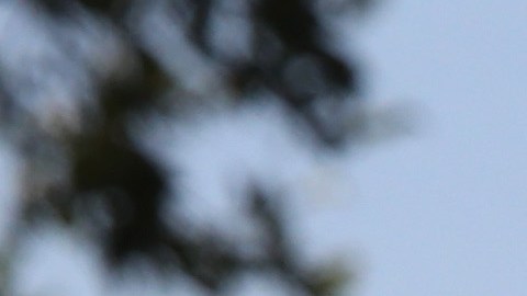 La zona cercana a Falfurrias en Texas es remota y desolada.