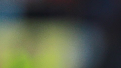 Roberto Hernández ha figurado en el banco de los equipos Monarcas Morelia, Mérida FC y Neza FC.