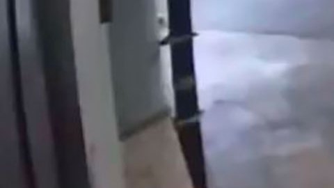 Golpean brutalmente a hijo de exfuncionario federal en México.