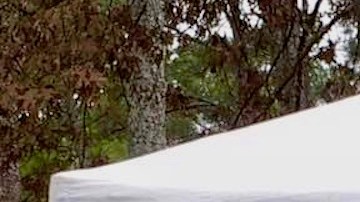 Bernardo Vazquez en su negocio de tacos en Georgia