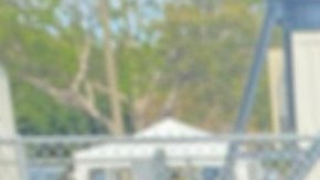 Migbelis Castellanos