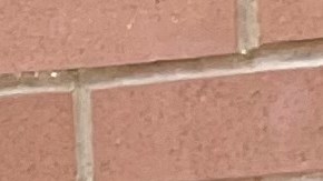 Isela Chávez es estudiante de la Universidad La Verne. (Suministrada)